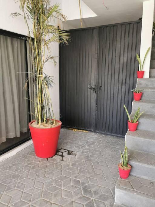 Maar Estudios 6, A 2 Cuadras Del Malecon De La Paz Εξωτερικό φωτογραφία
