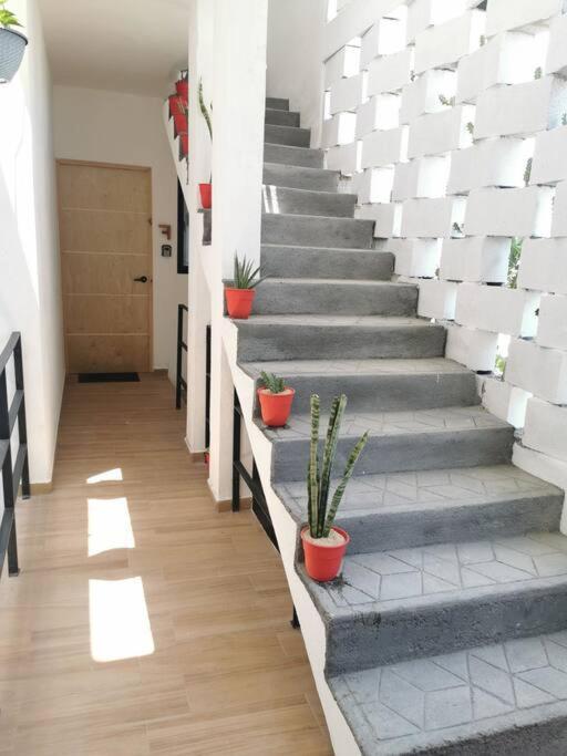 Maar Estudios 6, A 2 Cuadras Del Malecon De La Paz Εξωτερικό φωτογραφία